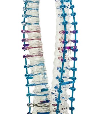 Custom Bone Model Builder -