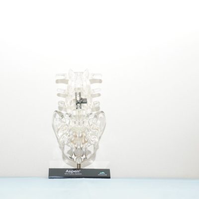 Aspen¨ MIS Fusion System -  SAC-L3