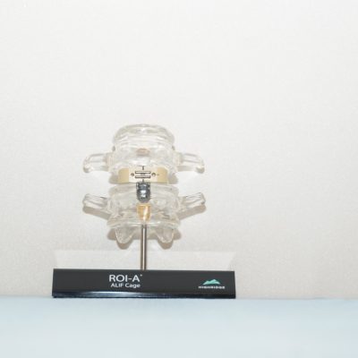 ROI-A¨_ALIF Cage With  VerteBRIDGE¨ Plating_Technology -  L3-L4